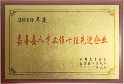 2019嘉善县人才工作十佳先进企业