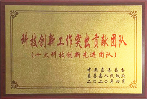 2020十大科技创新先进团队